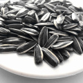 sunflower seeds kernels from xinjiang